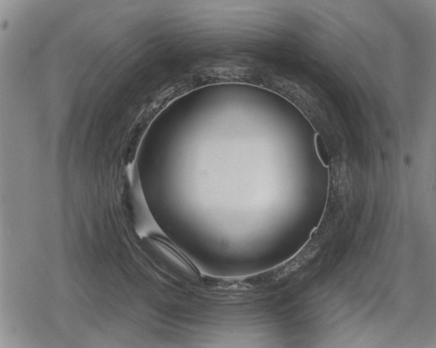 X0000080690752200612221052