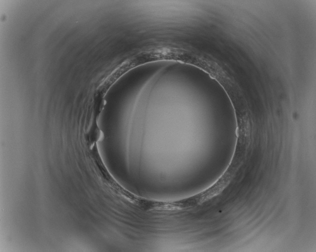 X0000080690754200612221052