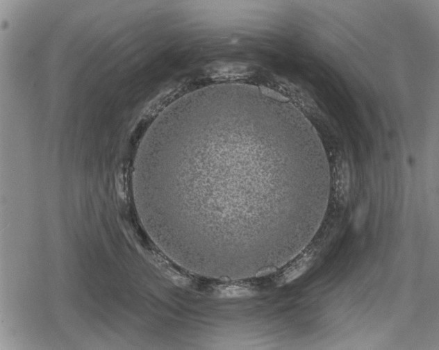 X0000080690755200612221052