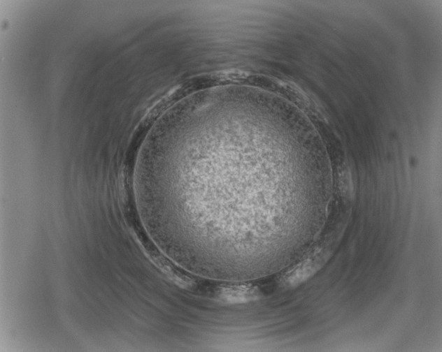 X0000080690757200612221052