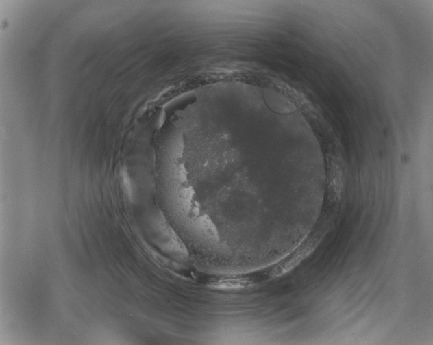 X0000080690758200612221052