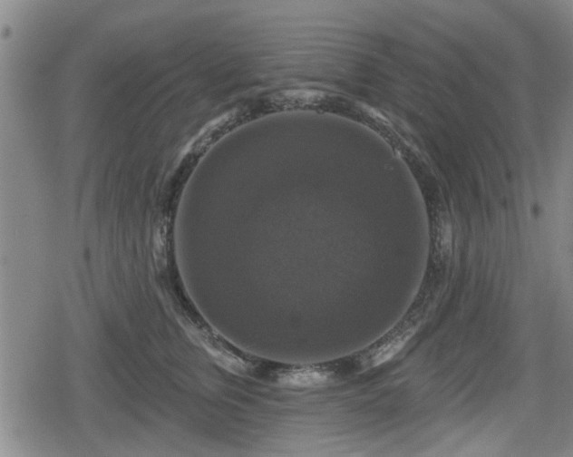 X0000080690759200612221052