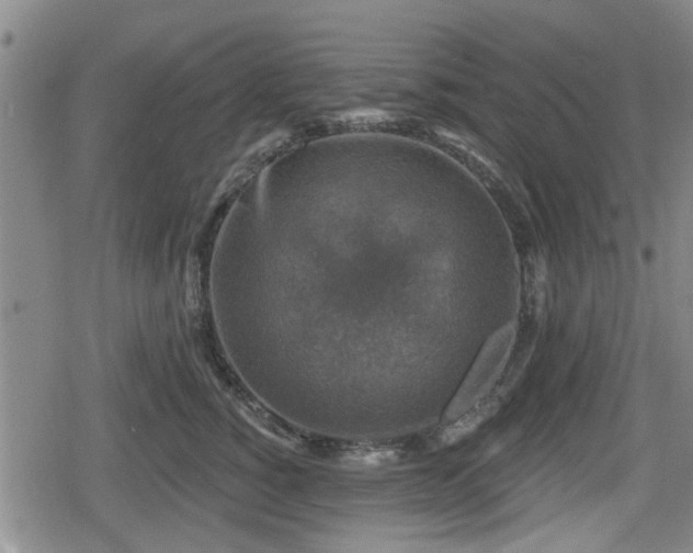 X0000080690760200612221052