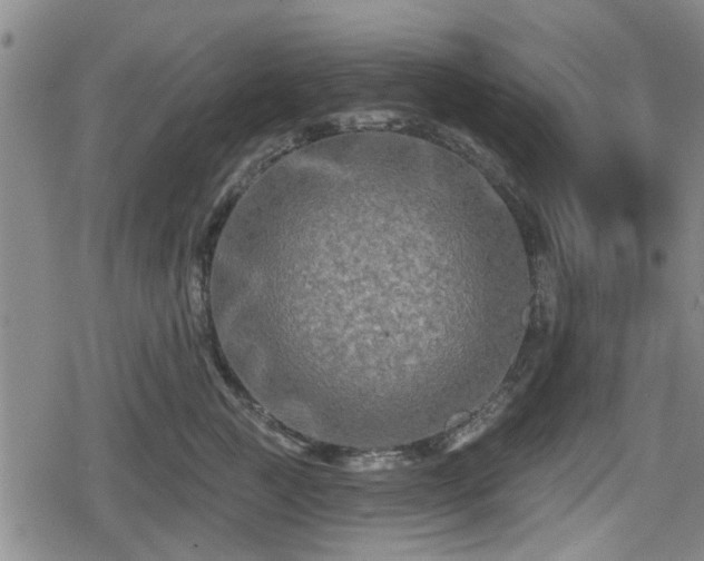 X0000080690761200612221052