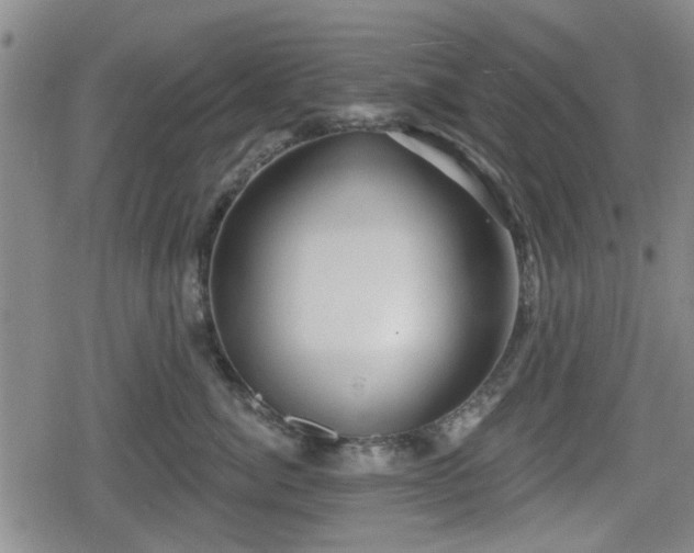 X0000080690764200612221052