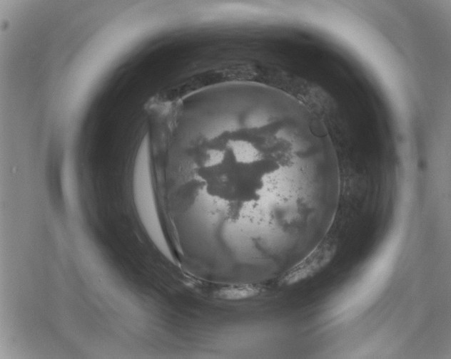 X0000080690765200612221052