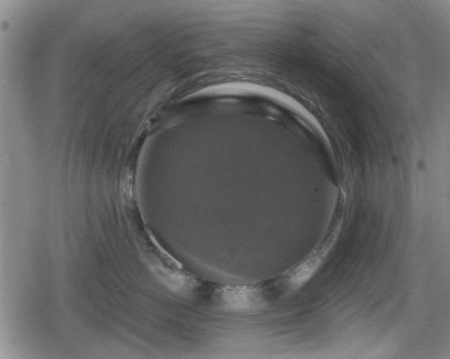 X0000080690766200612221052