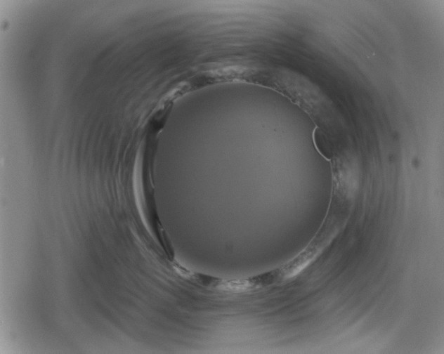 X0000080690767200612221052