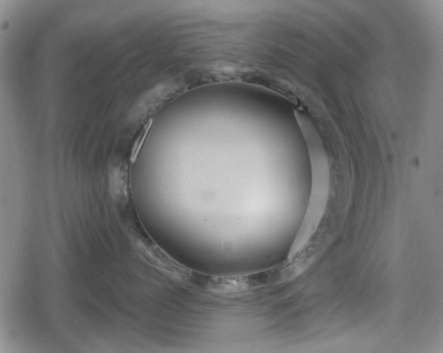 X0000080690768200612221052