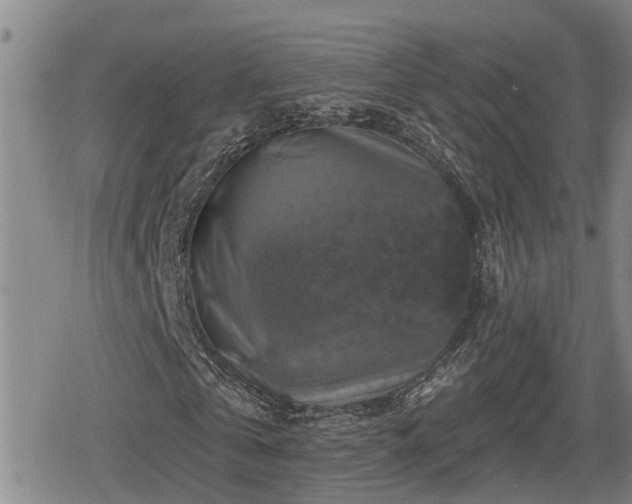 X0000080690769200612221052