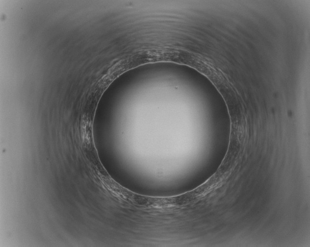 X0000080690770200612221052