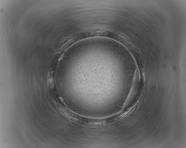 X0000080690771200612221052