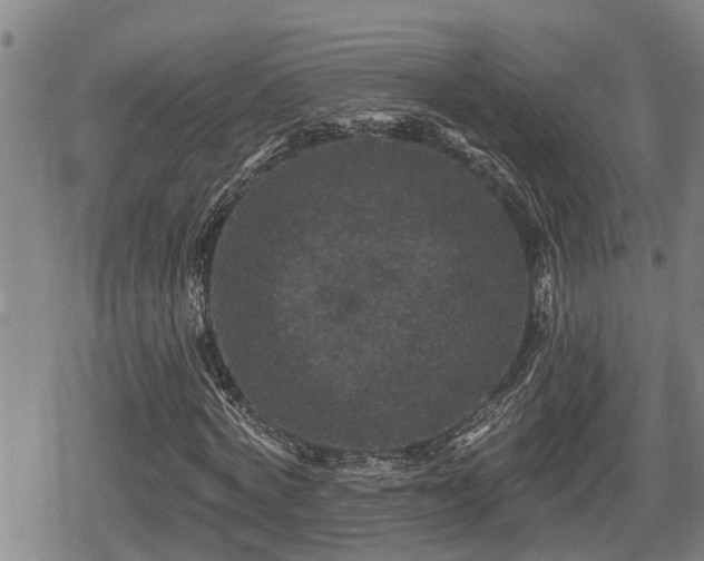 X0000080690772200612221052