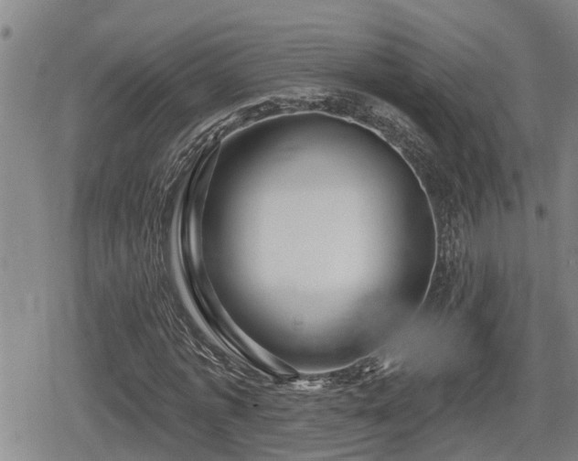 X0000080690773200612221052