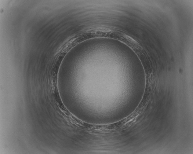 X0000080690774200612221052