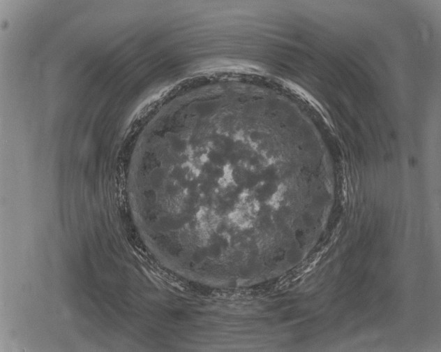 X0000080690775200612221052