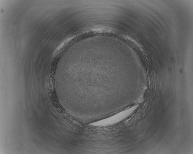 X0000080690776200612221052