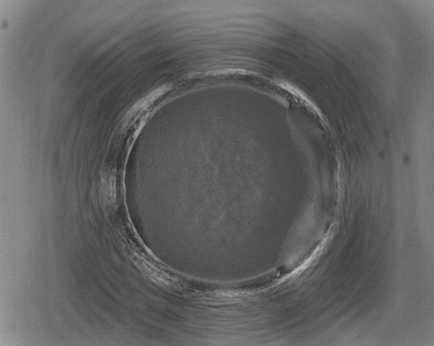 X0000080690777200612221052