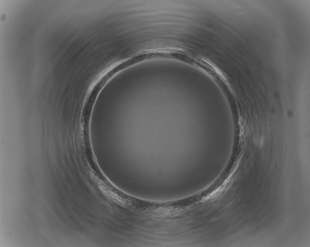 X0000080690779200612221051