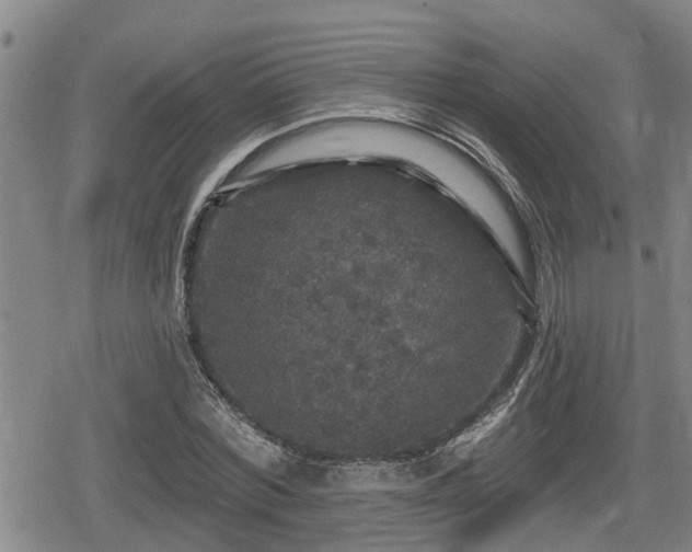 X0000080690780200612221051