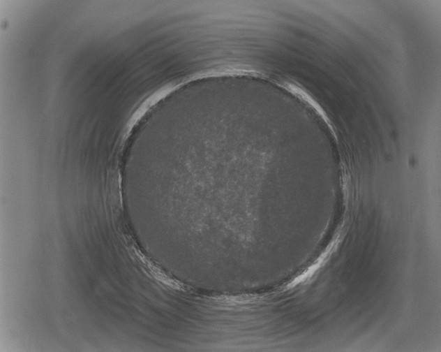 X0000080690781200612221051