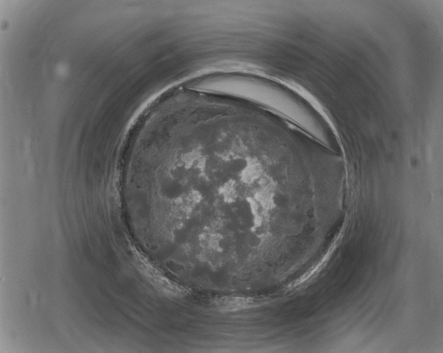 X0000080690783200612221051