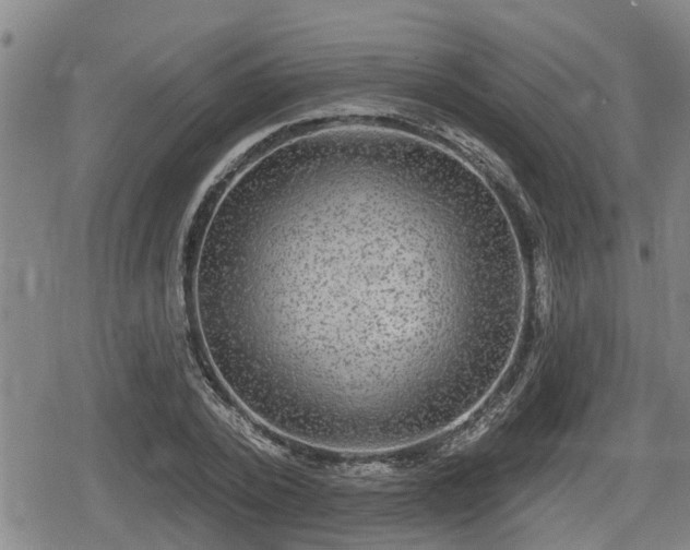 X0000080690784200612221051