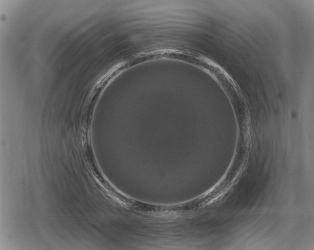 X0000080690785200612221051