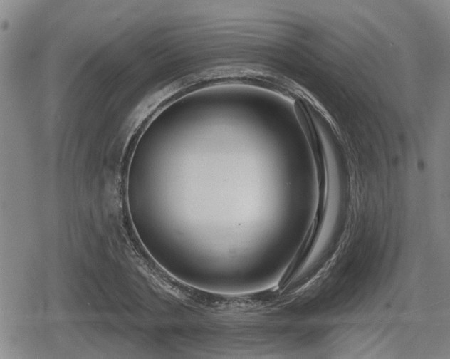 X0000080690786200612221051