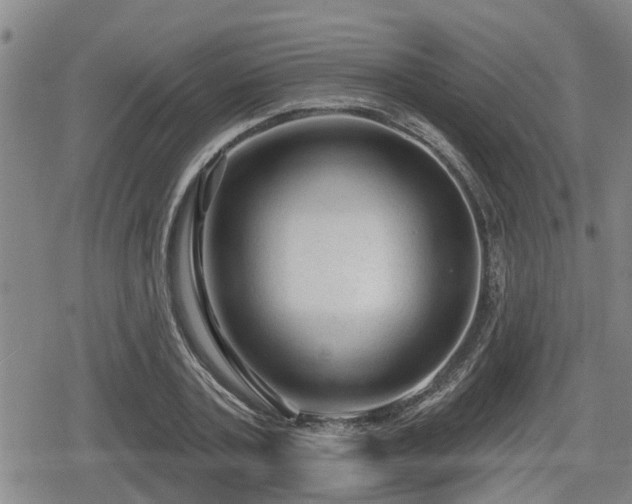 X0000080690787200612221051