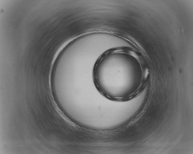 X0000080690788200612221051