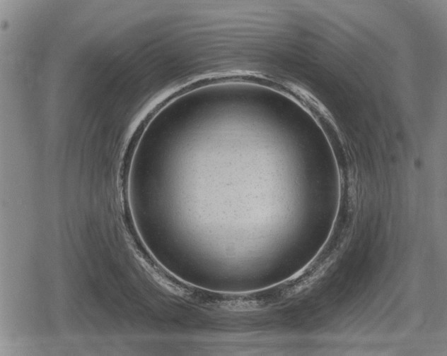 X0000080690789200612221051