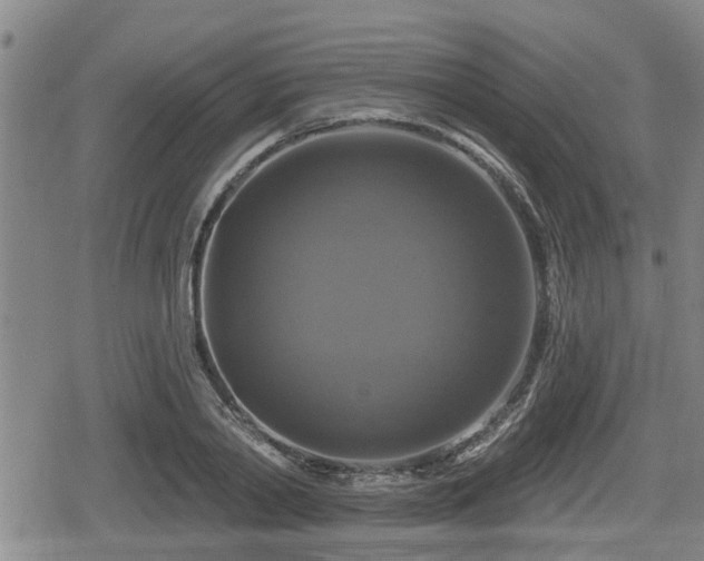 X0000080690790200612221051