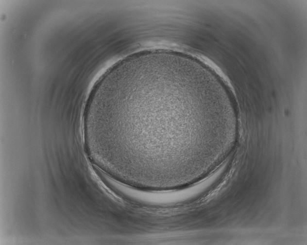 X0000080690791200612221051