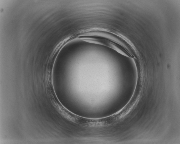 X0000080690793200612221051