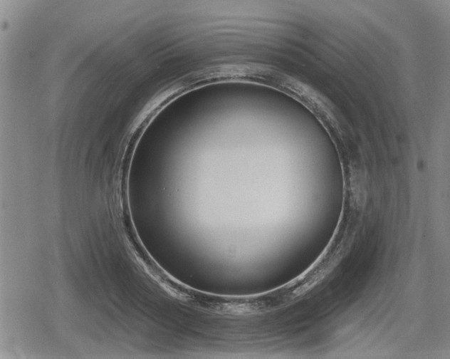 X0000080690794200612221051