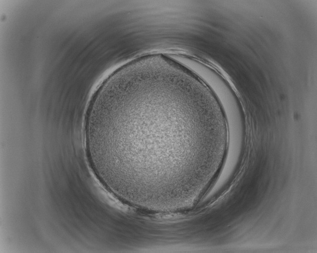 X0000080690795200612221051