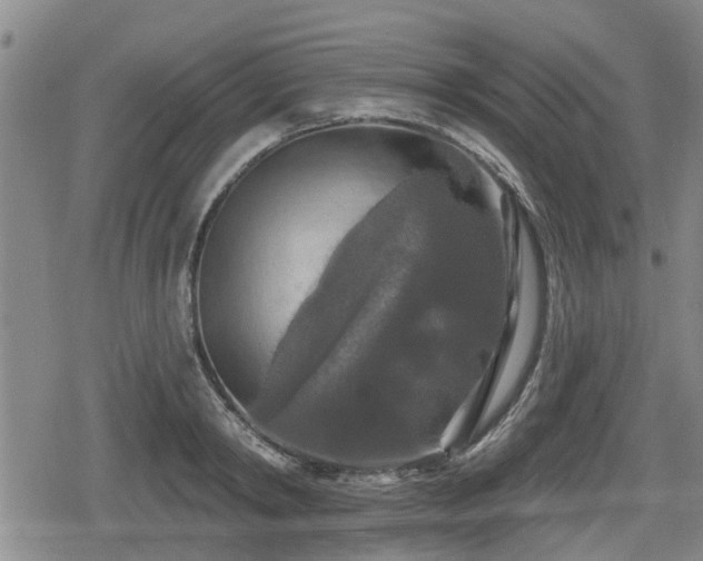 X0000080690798200612221051