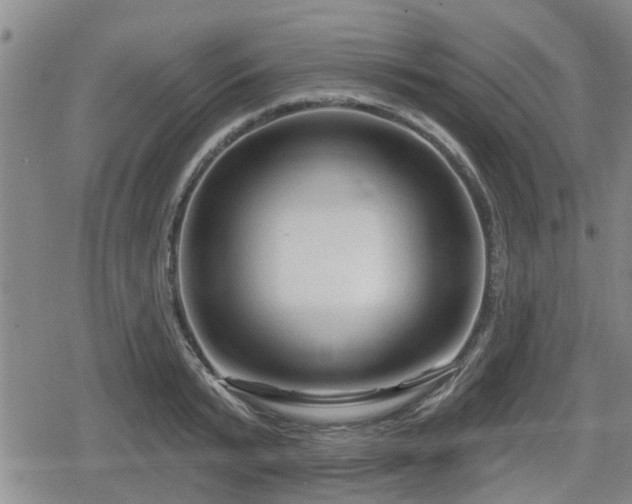 X0000080690799200612221051