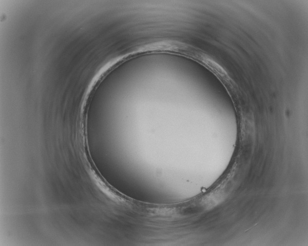 X0000080690800200612221051