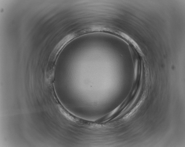 X0000080690801200612221051