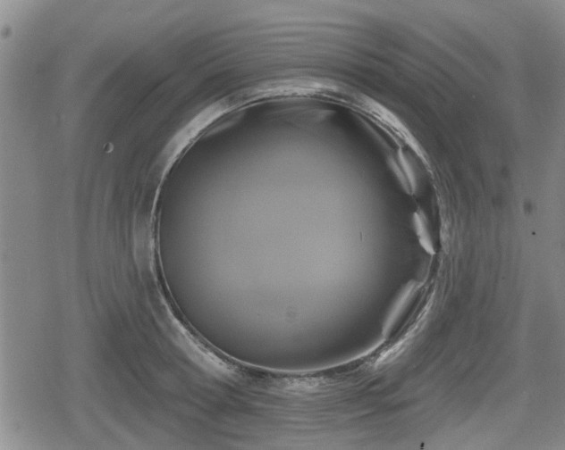 X0000080690802200612221051