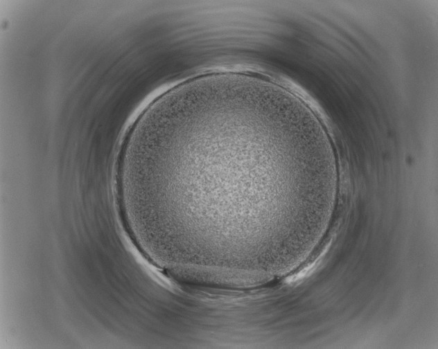 X0000080690803200612221051