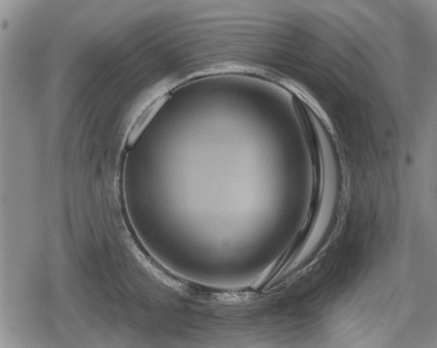 X0000080690805200612221051