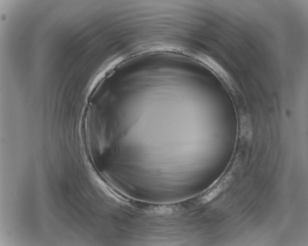 X0000080690806200612221051