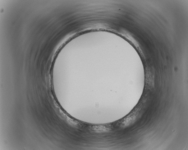 X0000080690807200612221051