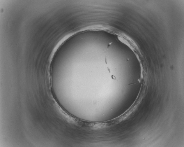 X0000080690808200612221051