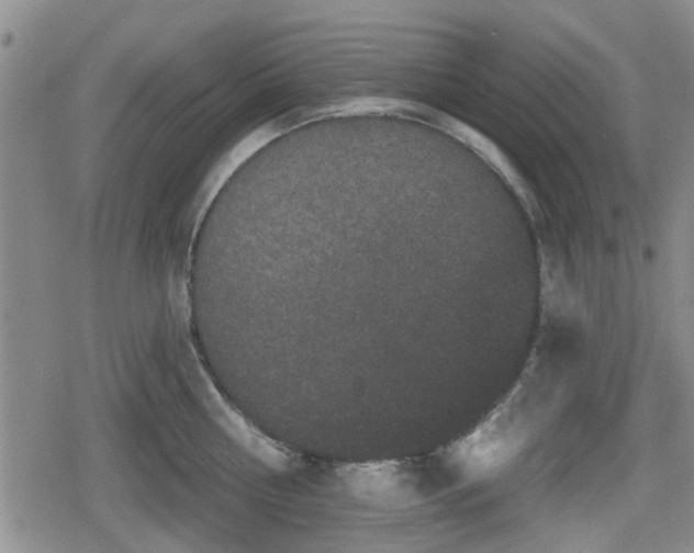 X0000080690810200612221051