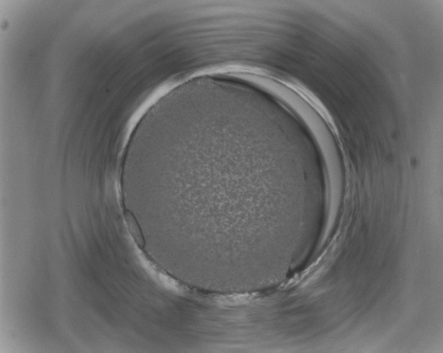 X0000080690813200612221051