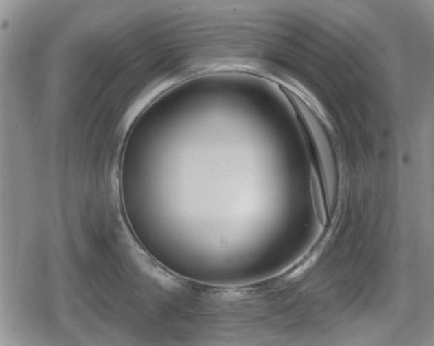 X0000080690814200612221051